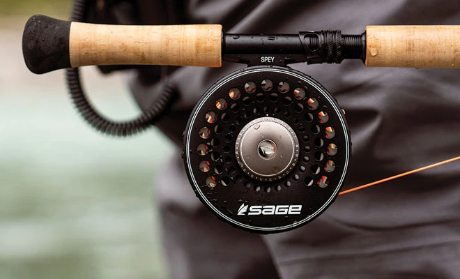 Fishing Reels